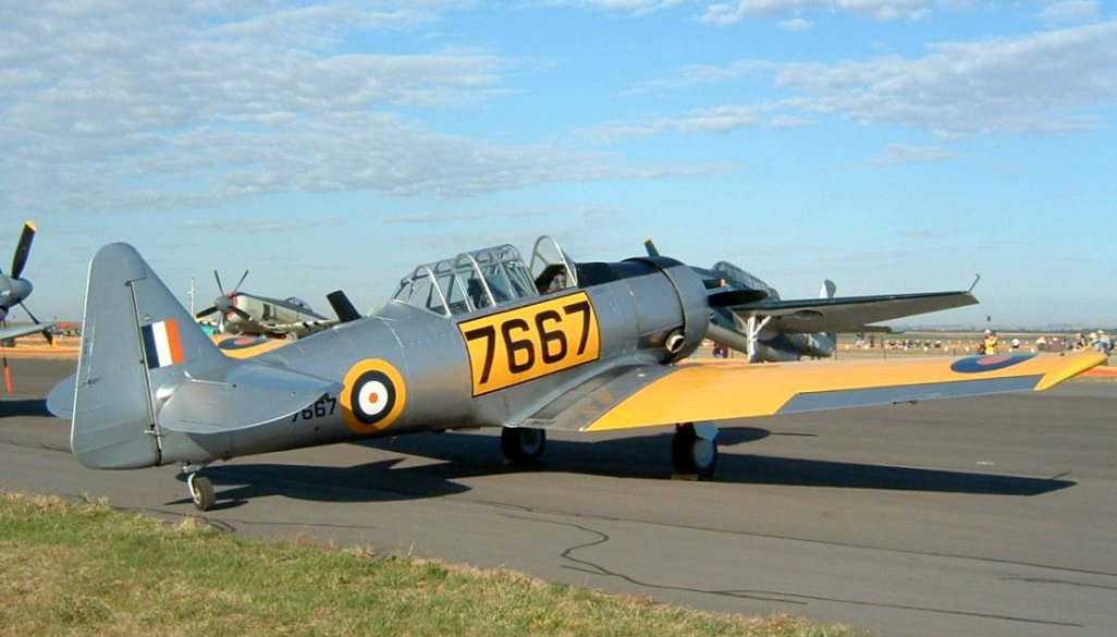 T6 in SAAF colours